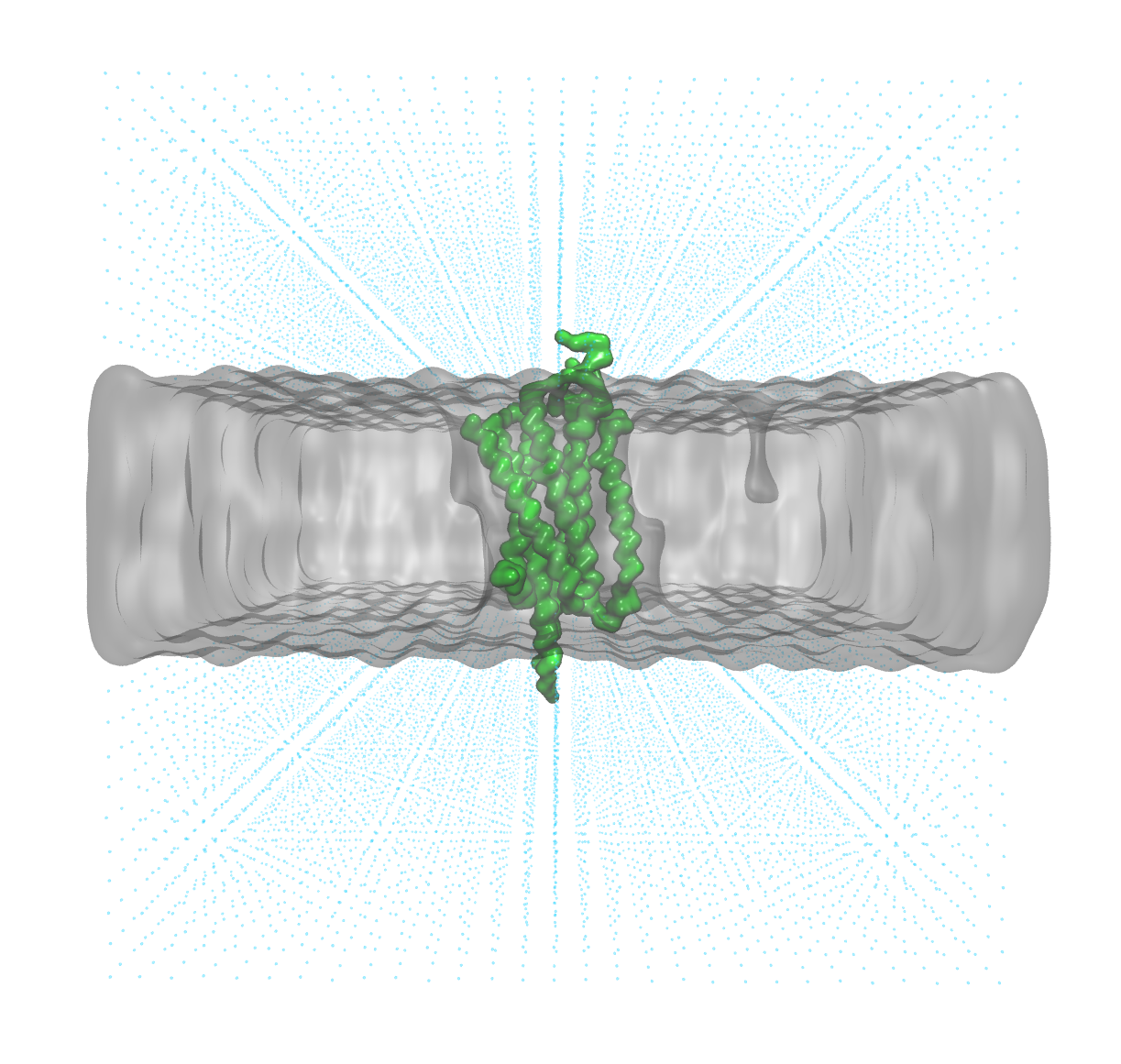 Coarse-grained representation of a GPCR embedded in a membrane shown in VMD