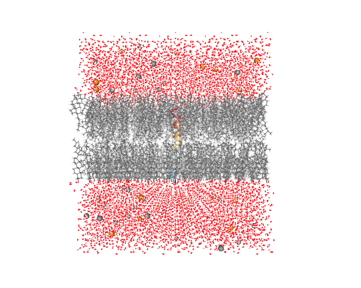 Protein oriented in lipidic membrane