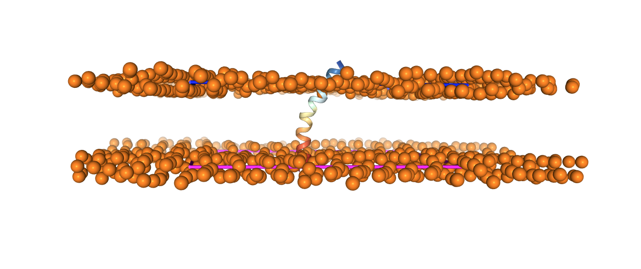 Protein oriented in lipidic membrane