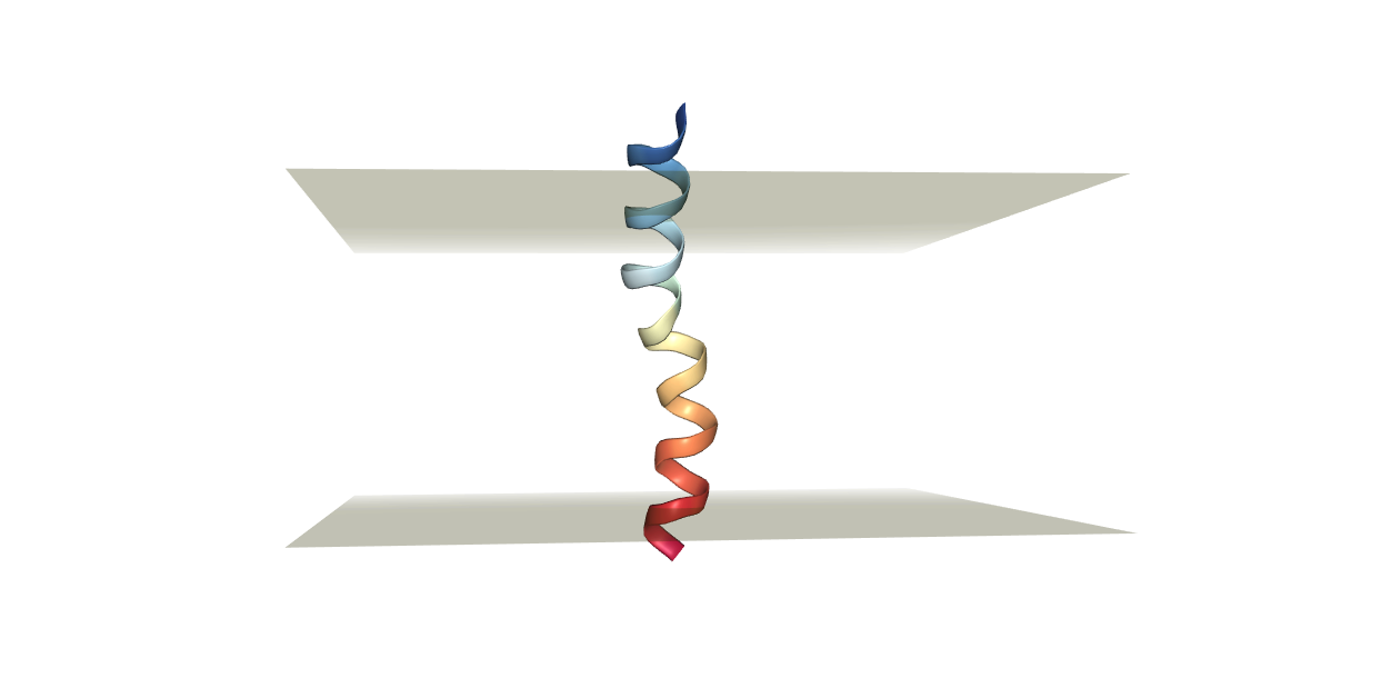 Protein (PDB ID: 2MG1) oriented in lipidic membrane