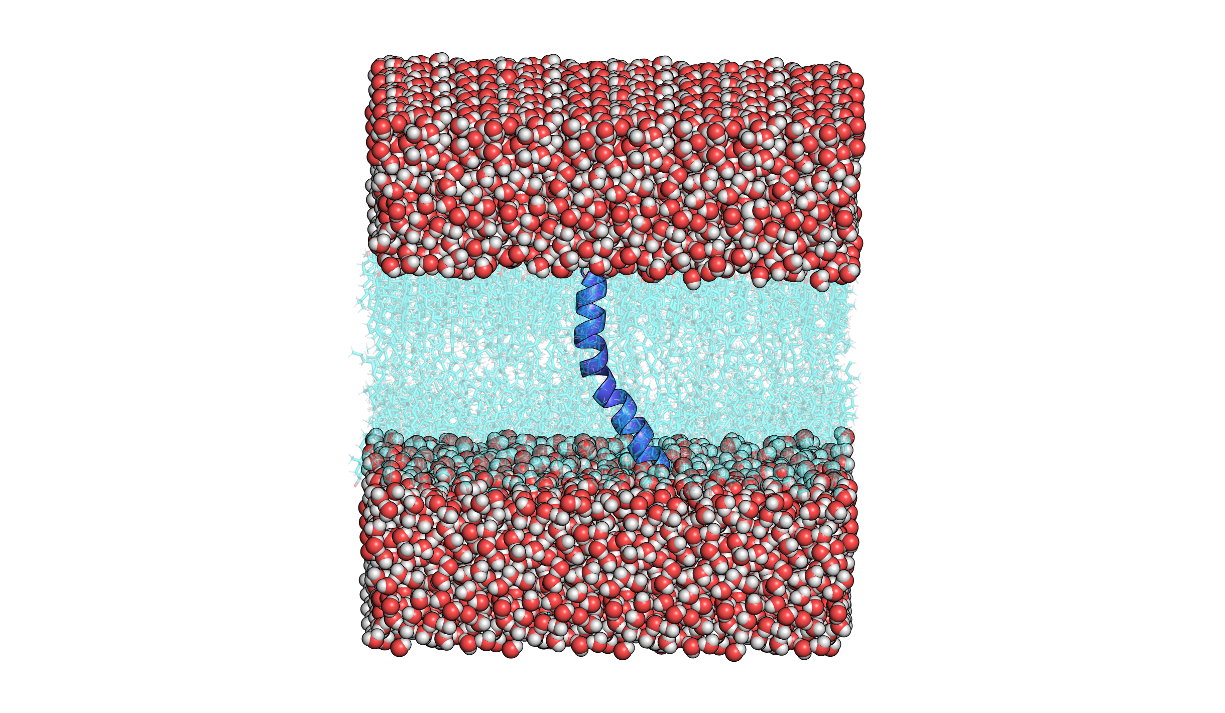 Pymol visualization of a protein embedded in cholesterol membrane