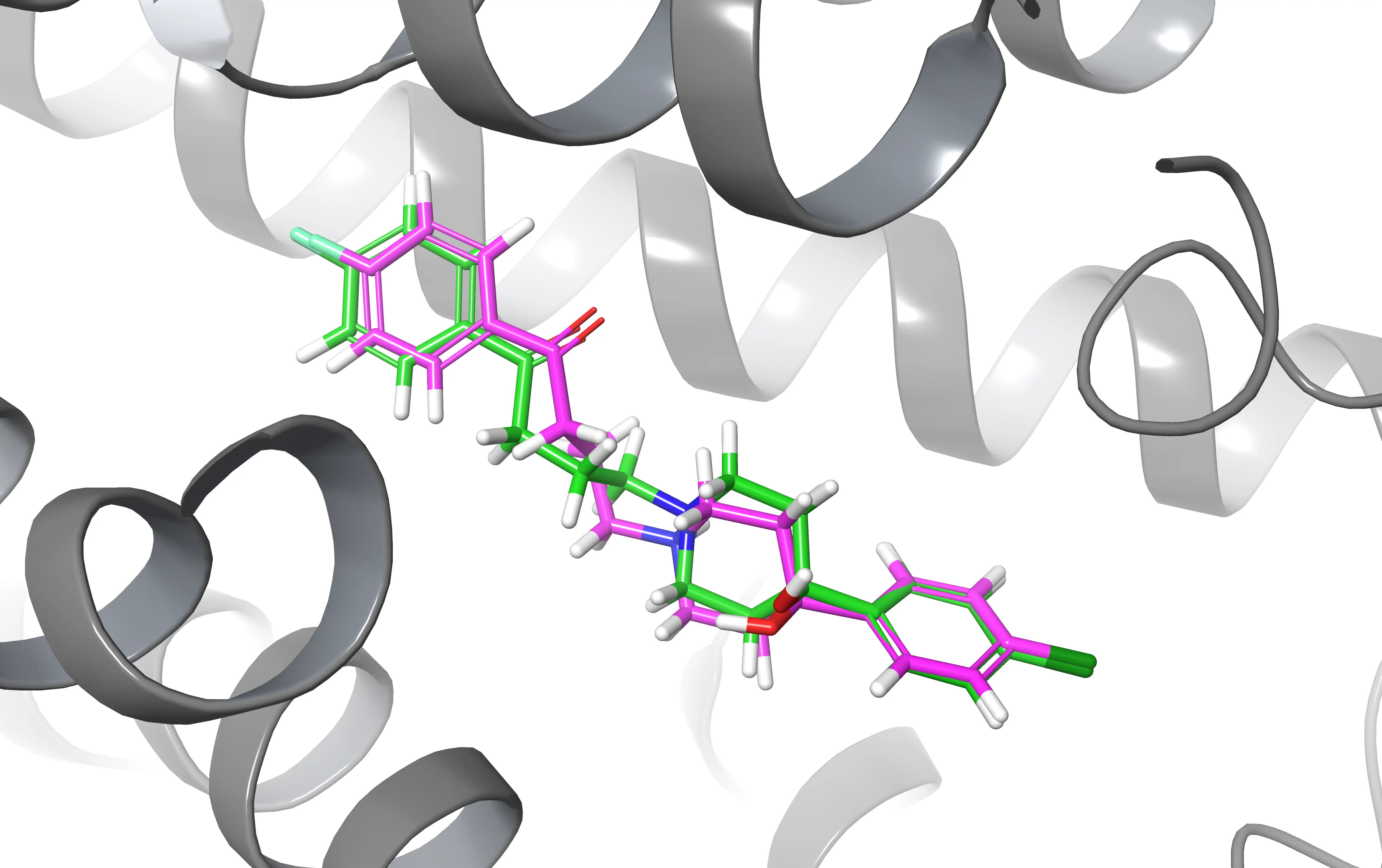  Two ligands docked in the same protein and aligned with PyMOL