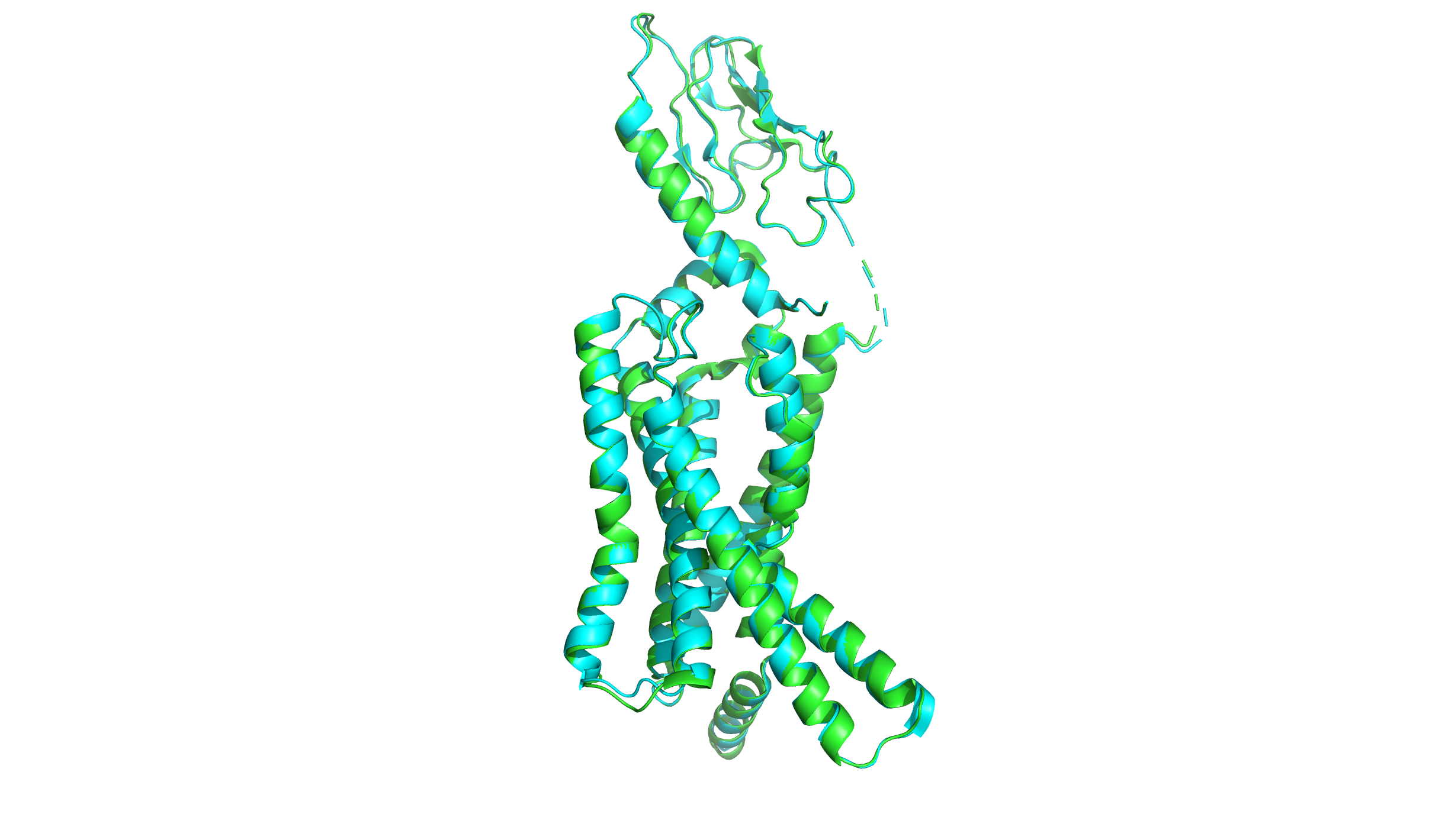  Two proteins aligned using PyMOL
