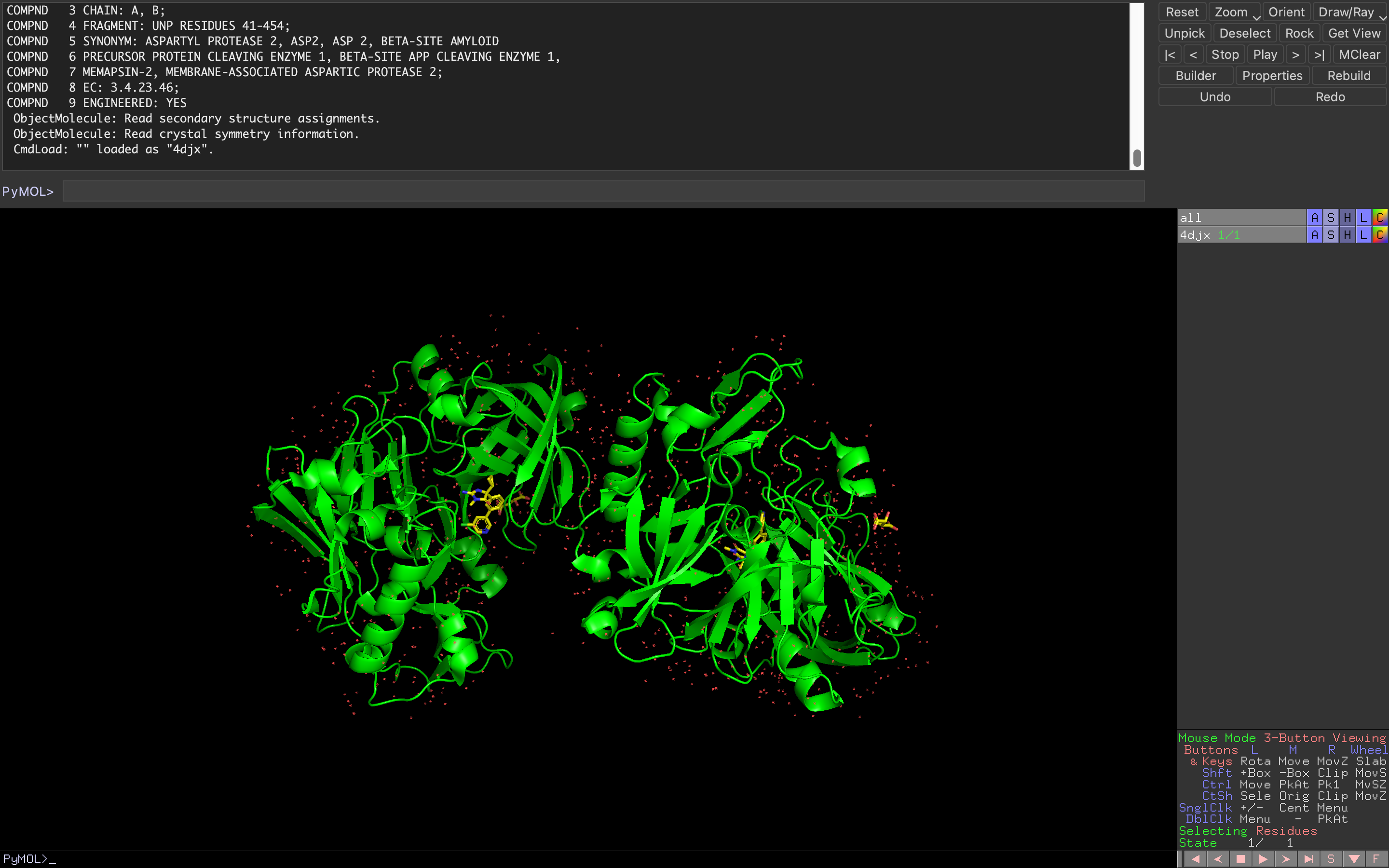 The interface of the molecular visualization software PyMOL once you load a molecule