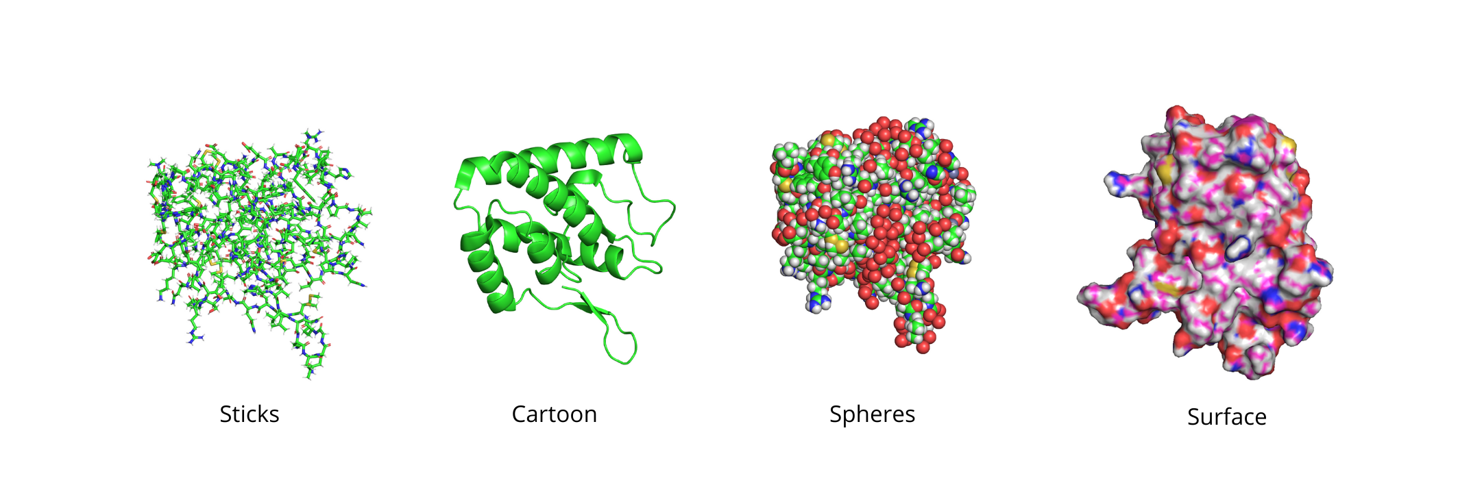Sticks, cartoon and balls representations of a protein in Pymol
